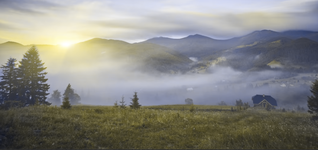 восприятие цветов с нарушениями